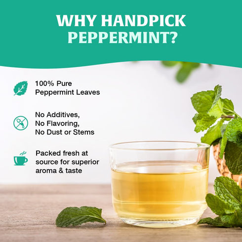 100 Count HANDPICK, Peppermint Tea, Eco-Conscious Tea Bags - | Caffeine Free, Non-GMO | Minty, Fresh & Cool flavor |