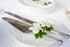 (50 Miami FRESH CUT FLOWERS Orchid Loose Bloom OrchidClub USA by Sunne Tropical DIY Lei, food & drink decoration WHITE)