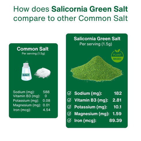 50% 100% (Pack 2) SaltWise Green Salt Less Sodium, Plant-Based Salt Substitute, Dehydrated Salicornia, Natural Umami