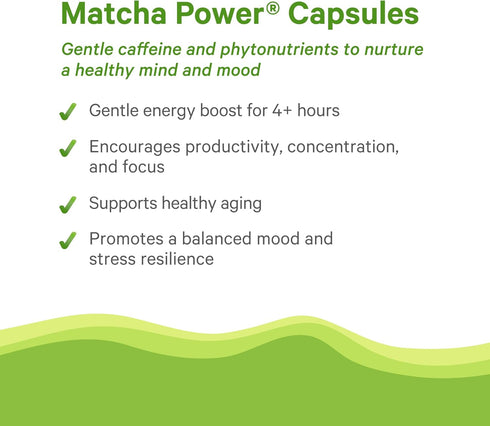 (90 PURE SYNERGY Matcha Power | Organic Matcha Green Tea Capsules | Ceremonial Grade Supplement with EGCG |