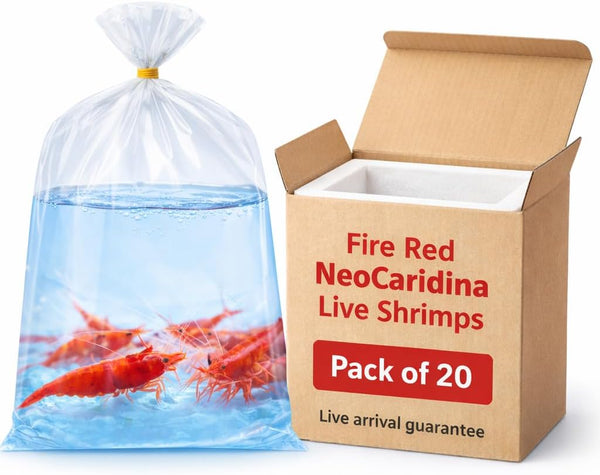 Generic 20+ High Grade Fire Red Cherry Shrimps Neocaridina Live Freshwater Shrimp Aquarium