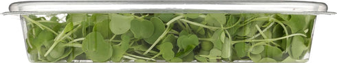 Fresh Produce 1.5 OZ FARMING TURTLES INC Organic Microgreens Arugula