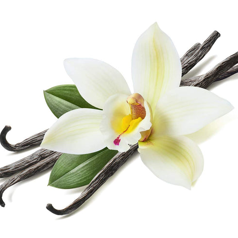 KIRKLAND Organic Vanilla Beans - Gourmet Quality