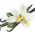 KIRKLAND Organic Vanilla Beans - Gourmet Quality