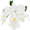 Global Sugar Art Cattleya Orchid Sugar Cake Flowers Arched Spray, White, 1