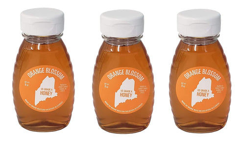 Box of Maine Wild Maine Orange Blossom Honey - 8 oz (Organic, All natural and