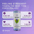 (12 Pack) Zenjoy Stress Relief Drink, Calming Black Tea, Non Alcoholic, Ashwagandha & Lemon Balm for Stress Relief, L