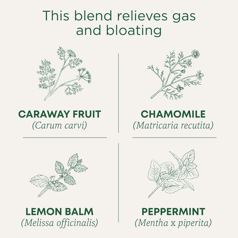Traditional Medicinals Organic Gas Relief Tea, Chamomile Mint, 16 Tea Bags