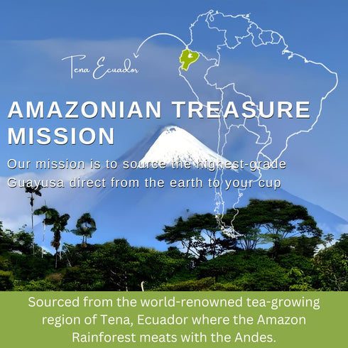 16 OZ (1LB), 60 Amazonian Treasure Organic Guayusa Loose Leaf Tea, Smooth Energy Boost, Alternative to Coffee & Yerba