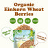 3 Food to Live Organic Einkorn Wheat Berries, Pounds Non-GMO, Good Source of Protein, Fiber, and Vitamins, Low-glycemic