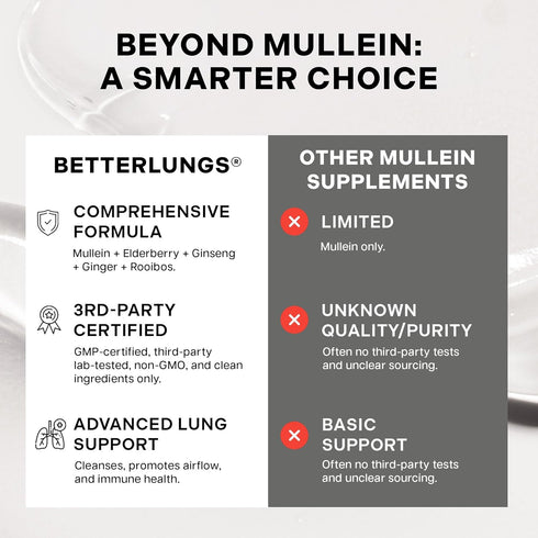 15 (Pack 2) Betterbrand Mullein Tea Bags for Lung Detox - Respiratory Support with Thyme, Elderberry, Ginseng, Ginger