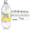 Hal's New York Seltzer Water, Lemon Sparkling Water, 20 Fl Oz Bottles (Pack of 24)