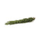 Fresh Produce 0.66 oz Goodness Gardens Herb Slims, Organic Rosemary, (us)