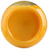 32 Lakewood Organic Biodynamic Mango Nectar, FZ