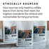 12 Oz (1 Pack) Kion Organic Decaf Whole Bean Coffee, Tested for Toxins, Ethically Sourced, Rich, Bold, and Smooth