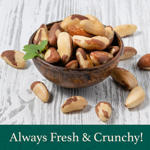 1 lb (16oz) Premium Wild Harvested Raw Brazil Nuts, High Selenium, Batch Tested Peanut & Gluten Free, Non-GMO, Kosher