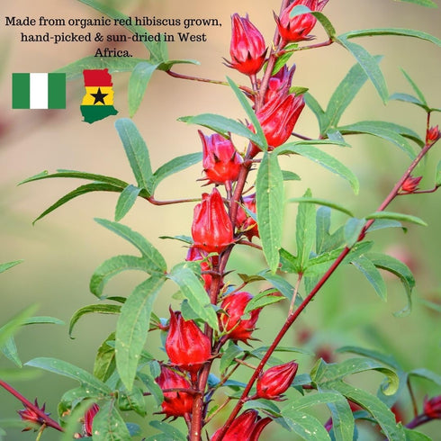 5oz Kovafood Dried Red Hibiscus Flowers, Sorrel Leaves, Zobo Leaves I Organic I NON-GMO I Washed and Sifted