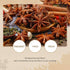 52USA Organic Star Anise, 4 Ounce (Pack of 1), Whole Dried NON-GMO Chinese Star Anise Pods for Tea and Baking