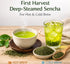 300g Otsuka Green Tea Co - First Spring Blend Sencha (Kakegawa First Harvest Deep Steamed Japanese Green Tea)