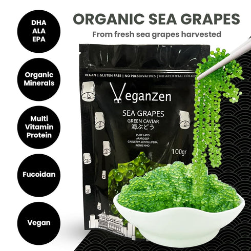 VeganZen 100GR Sea Grapes to Eat Seaweed Snacks Salad Kit Umibudo dried ramen toppings korean food green caviar