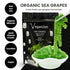 VeganZen 100GR Sea Grapes to Eat Seaweed Snacks Salad Kit Umibudo dried ramen toppings korean food green caviar