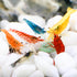 Hygger CO2 10+ Mixed Neocaridina Shrimp Assortment - Cherry, Fire Red, Blue Velvet &