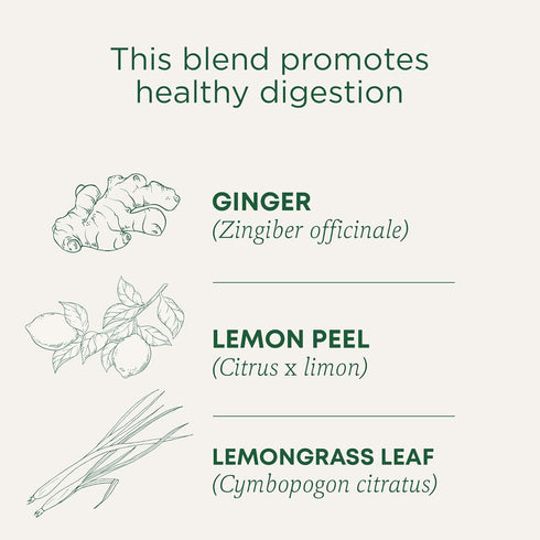 Traditional Medicinals Organic Lemon Ginger Tea, 1.13 Oz, 16 Count