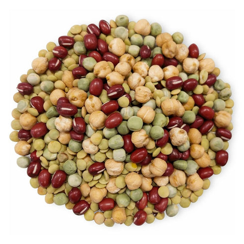 1 Food to Live Organic Crunchy Mix of Sprouting Beans, Pound - Non-GMO, Kosher, Non-Irradiated, Vegan, Raw, Dried, Bulk