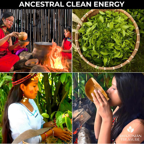 16 OZ (1LB), 60 Amazonian Treasure Organic Guayusa Loose Leaf Tea, Smooth Energy Boost, Alternative to Coffee & Yerba