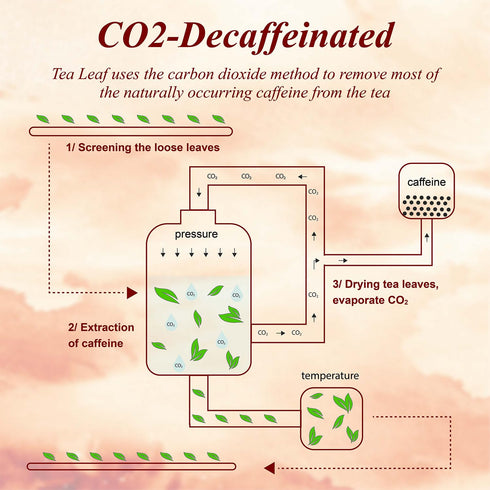 50 Count, CO2 6 WT WEETEE Decaf Chai Tea Bags Blend Decaffeinated Black Tea with Spices Chai, Rich & Cinnamon Aroma