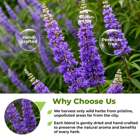 4 oz. 113g Chaste Tree Berry hasteberry Tea Chaste Tree Berry Tea Herb (Vitex Agnus-Castus) - Herbal Vitex Sauzgatillo