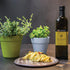 750ml 100% Iliada Kalamata PDO Extra Virgin Olive Oil, | Multi-Awarded | Single Region Greek | Monovarietal Koroneiki |