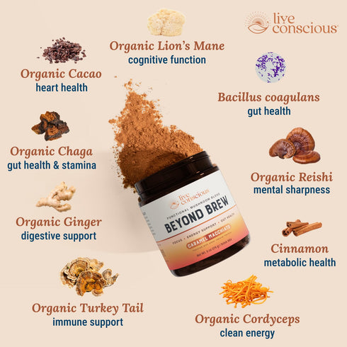 30 Beyond Brew Caramel Macchiato Coffee Alternative - Low Caffeine Superfood - Powerful Mushroom Complex with Lions
