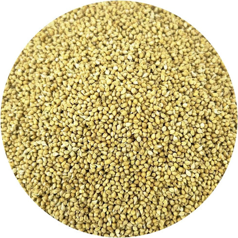 Packed (5 (Pack 1)) PACIFIC Organic Petfood Organic Feed Millet - Millet Bird Seed | Rich with Fiber & Minerals | USDA