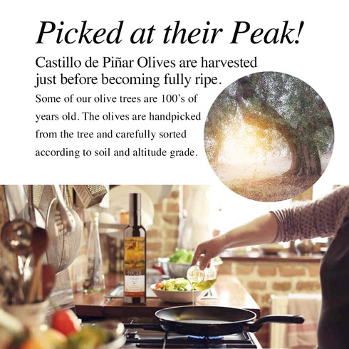 1 500ml 1 150ml Castillo de Pinar First Cold Pressed ORG Extra Virgin Olive Oil Picual Single-Variety Thyme Balsamic