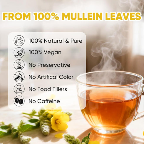 TEAWOO 60 100% Mullein Leaf Tea Bags, From Natural Mullein Leaves for Lungs Health and Respiratory Support