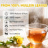 TEAWOO 60 100% Mullein Leaf Tea Bags, From Natural Mullein Leaves for Lungs Health and Respiratory Support