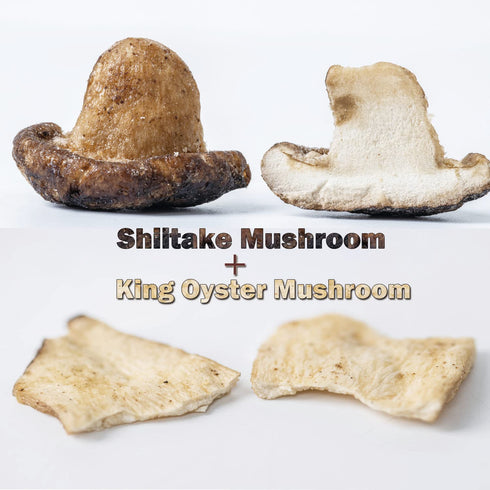 8.82 Oz, 250 VIGOROUS MOUNTAINS Mushroom Chips Veggie Snacks, Dried Shiitake and King Oyster Good Salted Crisp Mix