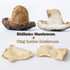 8.82 Oz, 250 VIGOROUS MOUNTAINS Mushroom Chips Veggie Snacks, Dried Shiitake and King Oyster Good Salted Crisp Mix