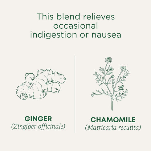 96 Count (Pack 6) Traditional Medicinals Tea, Organic Ginger & Chamomile - Occasional Nausea & Indigestion Relief