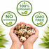 (36+ Count) FARM FRESH Quail Eggs *Laid in the U.S.* Hormone Free; Non-GMO - *Eating Eggs*