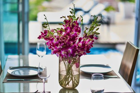(10 Sunne Tropical OrchidClub USA Fresh Cut Flowers Orchids Stems Dendro PURPLE)