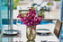 (10 Sunne Tropical OrchidClub USA Fresh Cut Flowers Orchids Stems Dendro PURPLE)