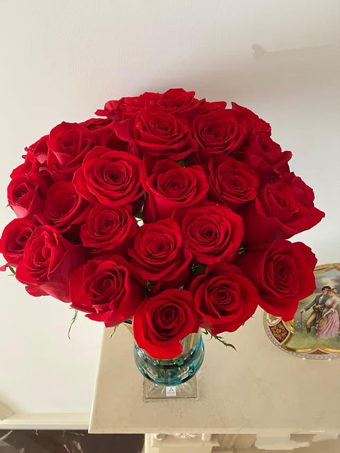 Cassiolina (24) Fresh Cut Freedom Red Roses Bouquet, Premium Long Stem Red Roses, Fresh Cut Roses for Valentines Day
