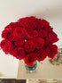 Cassiolina (24) Fresh Cut Freedom Red Roses Bouquet, Premium Long Stem Red Roses, Fresh Cut Roses for Valentines Day