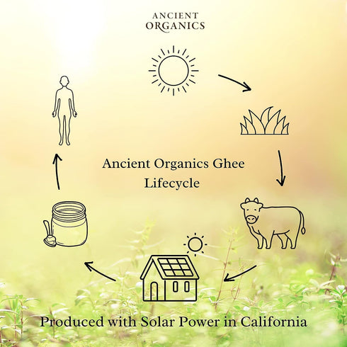 9 Oz (Pack 3) Ancient Organics Ghee - Organic Grass Fed Ghee Butter, Gluten Free, Clarified Butter, Vitamins & Omegas