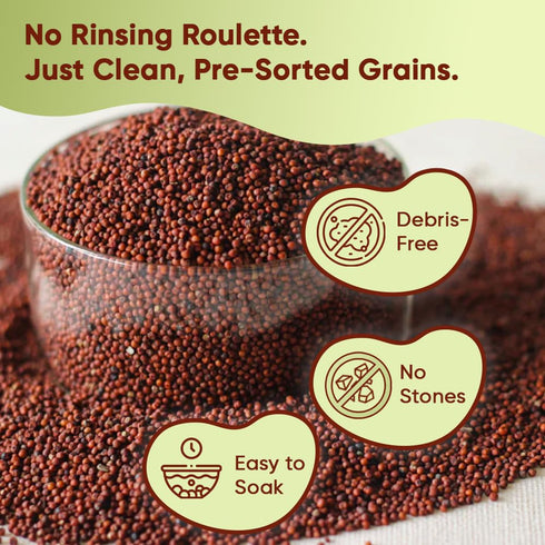 (1lb 450g 16oz) Danodia Foods Organic Finger Millet/Ragi/Kelvaragu / / | Super High Calcium, Gluten-Free Unpolished Red