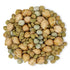 1 Food to Live Rainbow Sprouting Beans Mix, Pound Raw, High Germination Rate, Vegan