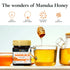 260+ /10+ 8.8oz (250g) Raw Manuka Honey MGO - Medicinal Strength - High Certified Rating - BPA Free Jar - Cold