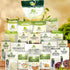 Premium Vietnamese Rice Noodle Collection - Natural & MSG-Free